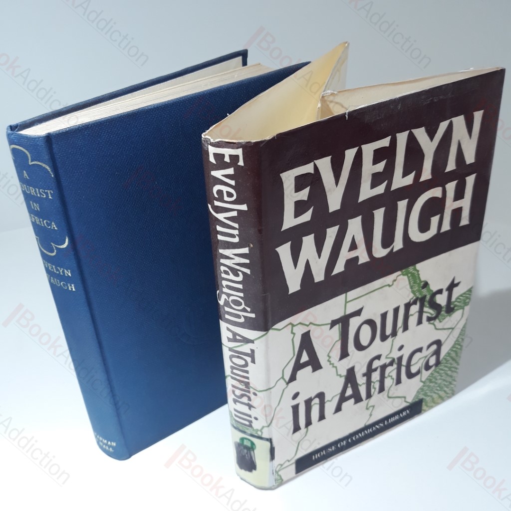A Tourist in Africa