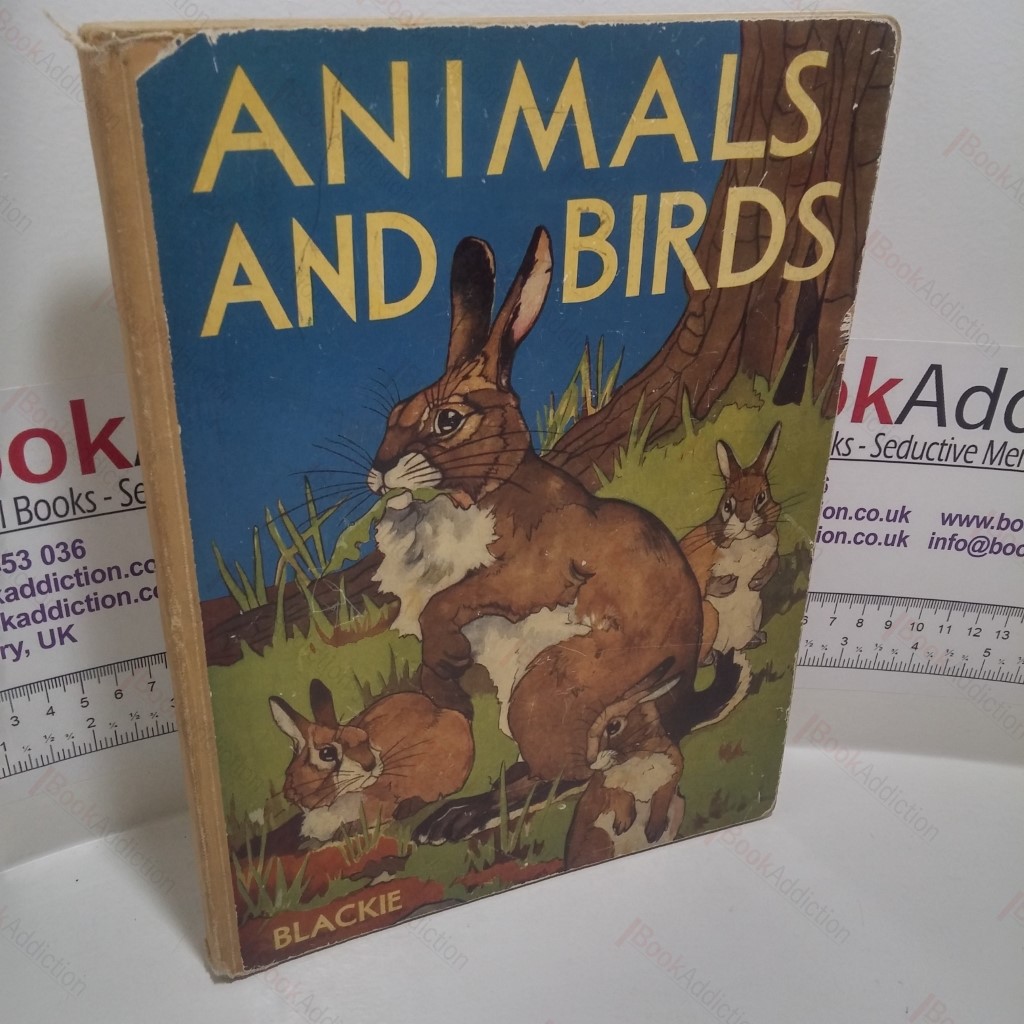 Animals & Birds