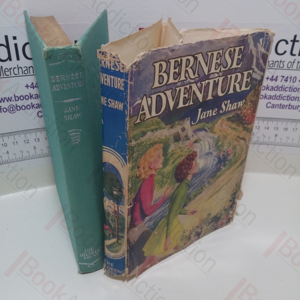 Bernese Adventure
