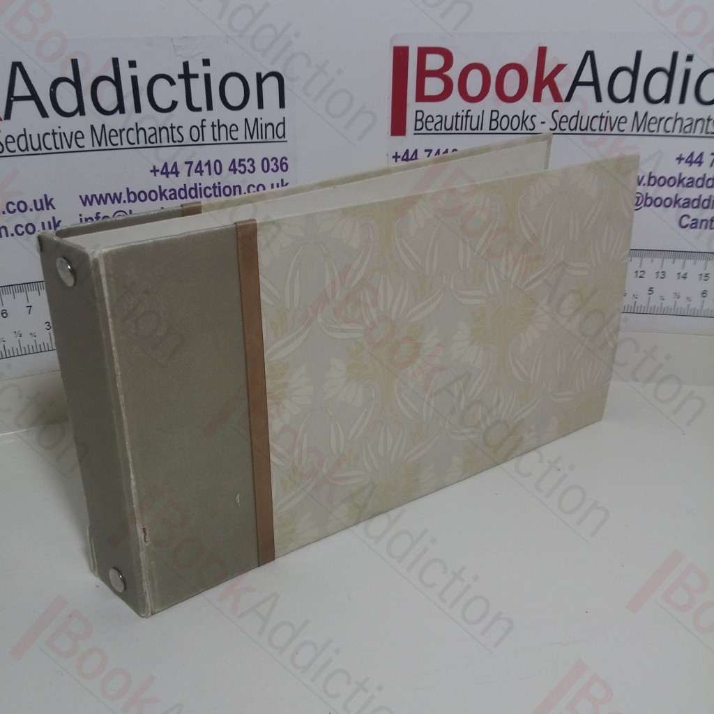 36 Vintage Saucy Postcards