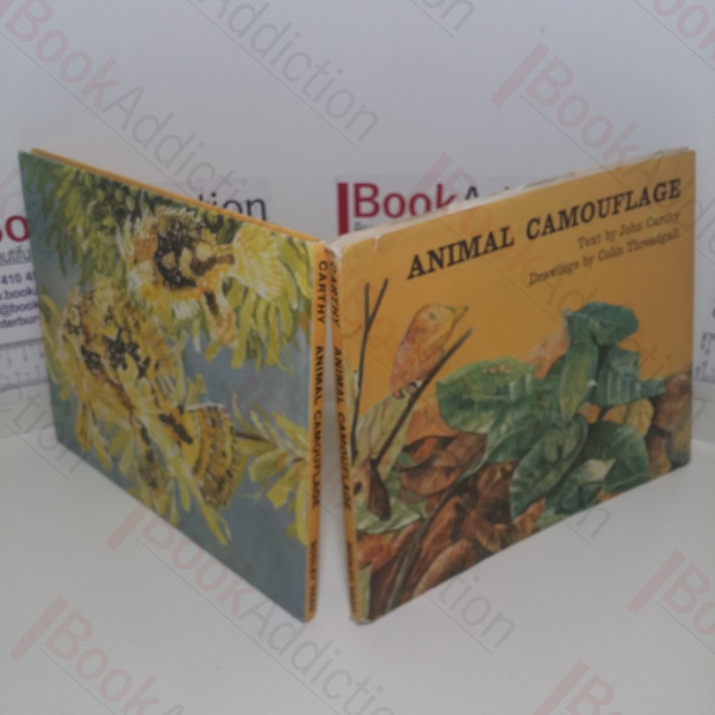Animal Camouflage