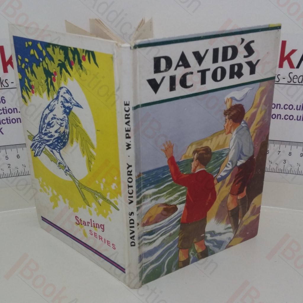 David's Victory (Starling series)