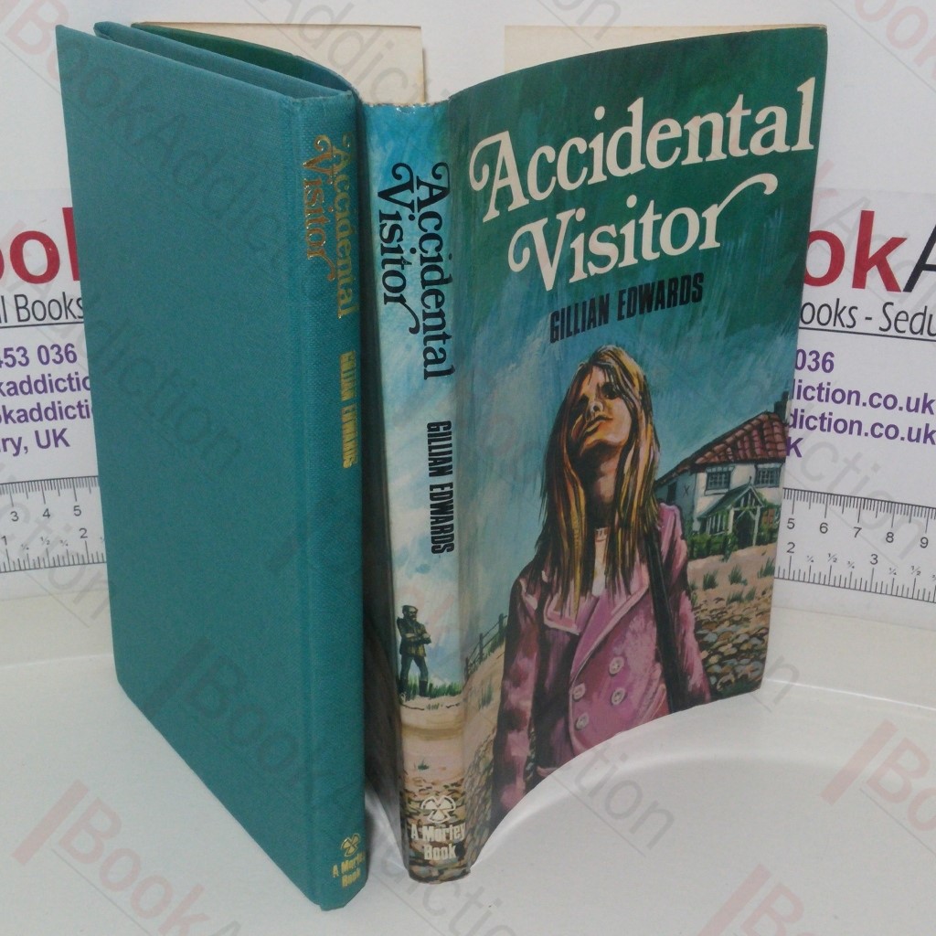 Accidental Visitor