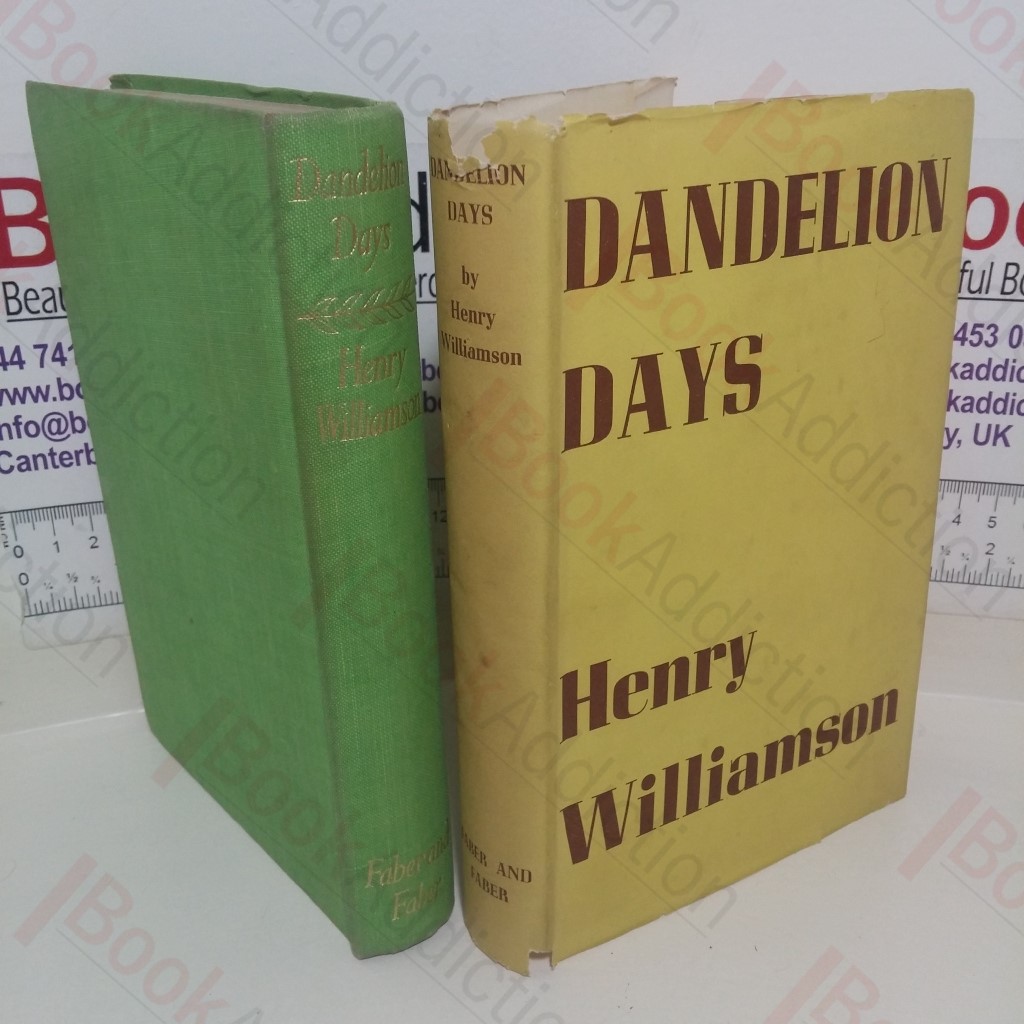 Dandelion Days