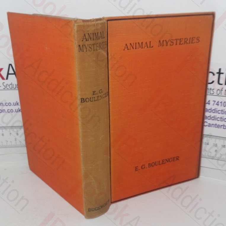 Animal Mysteries