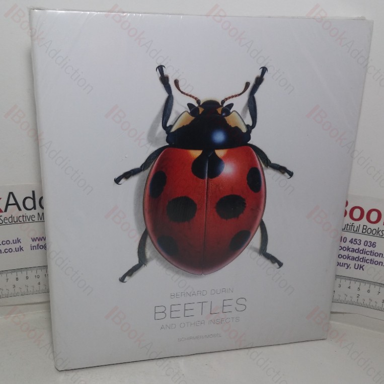 Beetles and other Insects